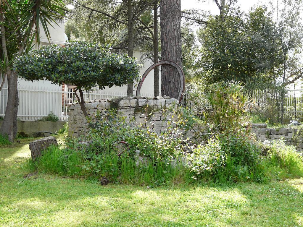 B&B Villa Garden Bisceglie Bagian luar foto